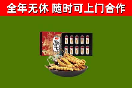 蒸湘区回收冬虫夏草价格