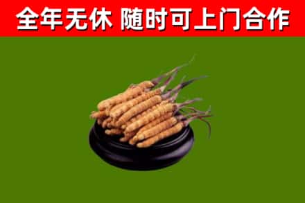 蒸湘区烟酒回收冬虫夏草.jpg